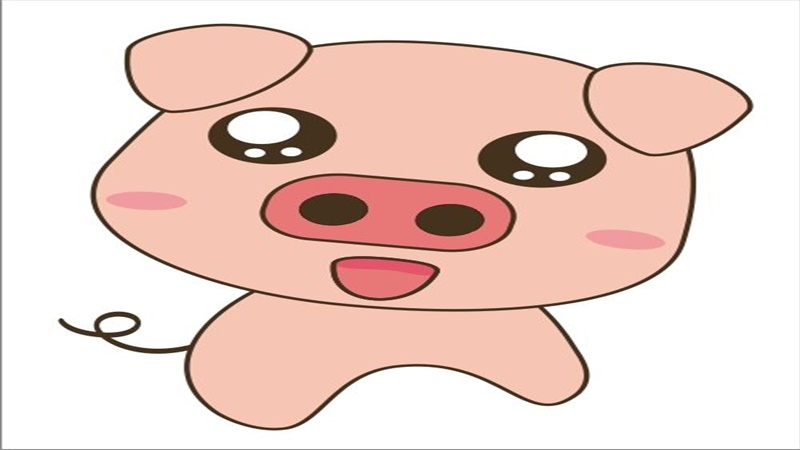 属猪的今年多大，详细解释