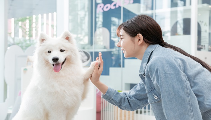 做梦梦见自己打狗是什么意思 做梦梦见自己打狗有什么预兆