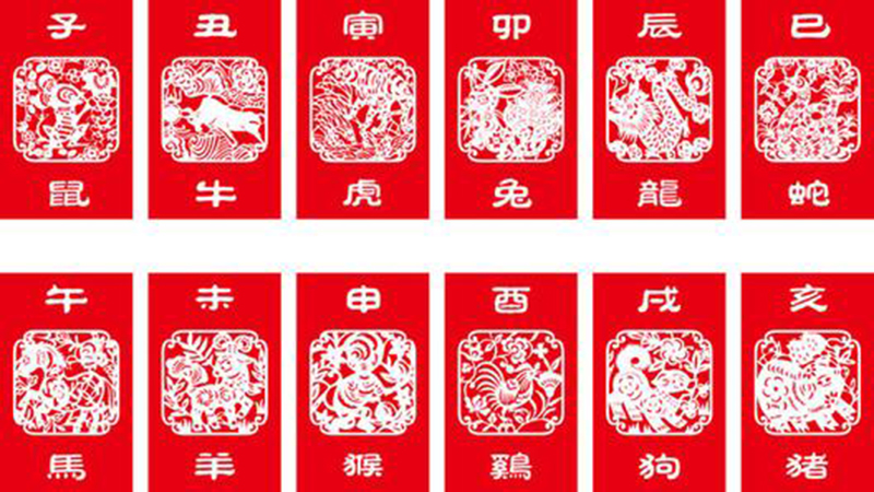十二生肖花名是什么，详细解释