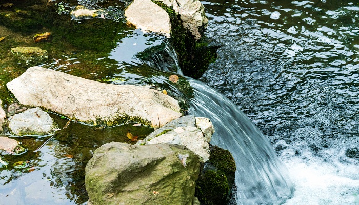 做梦梦见溪水流淌是什么意思 做梦梦见溪水流淌有什么预兆