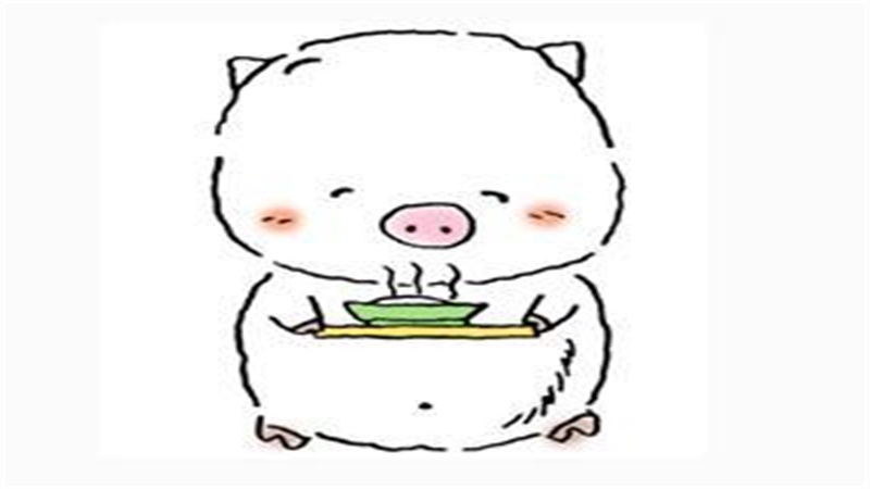 1995猪男1999兔女配吗，详细介绍