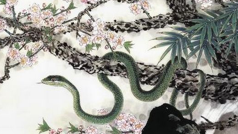 十二生肖全称，详细解释