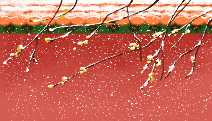 孕妇做梦梦见下大雪是什么意思 孕妇做梦梦见下大雪有什么预兆