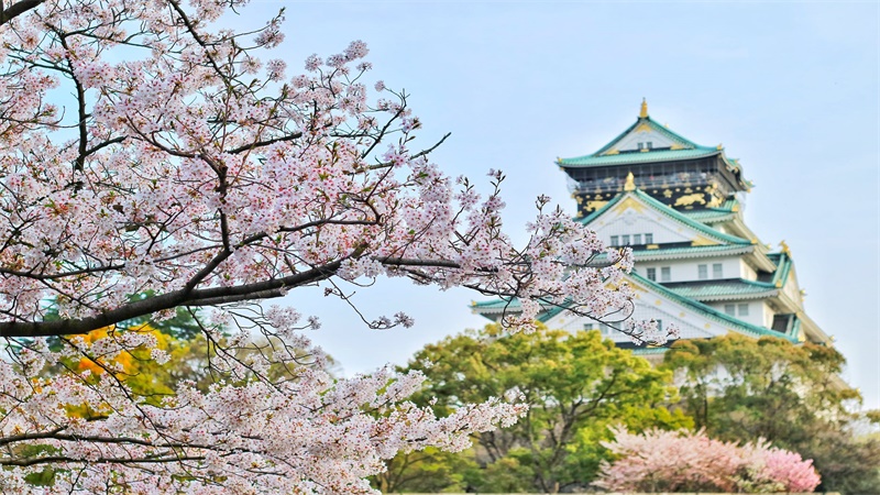 做梦梦见日本鬼子什么意思