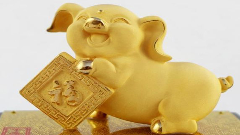 金猪宝宝是哪一年，详细解释