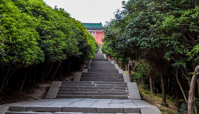 做梦梦见上坡很陡上不去但有人帮助