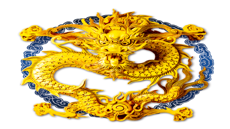 属狗与属龙的人合得来吗，详细介绍