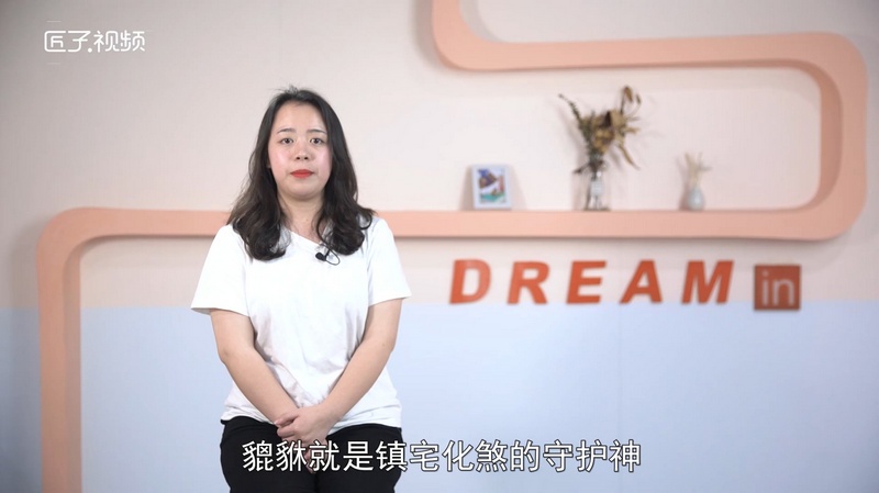 猪年的吉祥物是什么，最佳答案