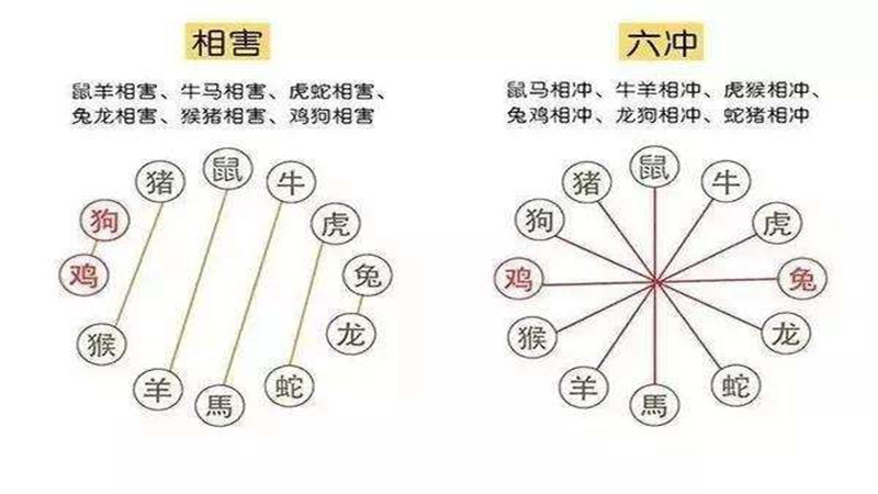龙和什么犯冲，详细介绍