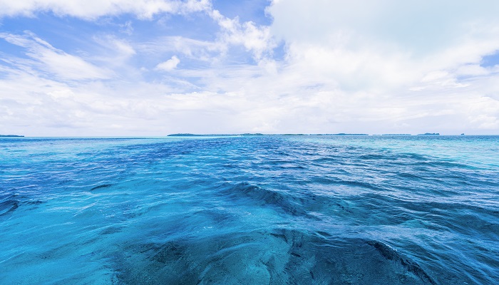 做梦梦见大海水很清澈