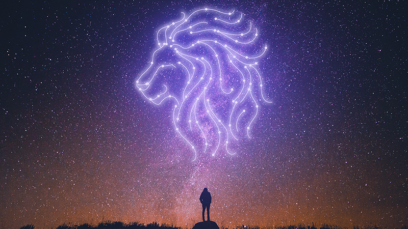 如何让狮子座主动找你，详细介绍