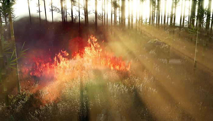 做梦梦见树着火了是什么征兆
