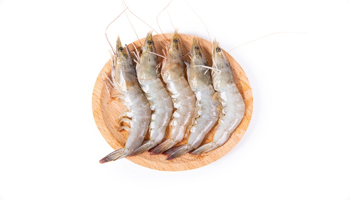 做梦梦见鱼虾