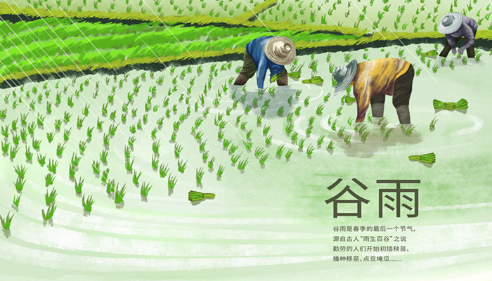 做梦梦见插秧是什么意思