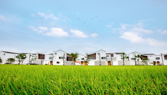 女人做梦梦见家里盖了新房