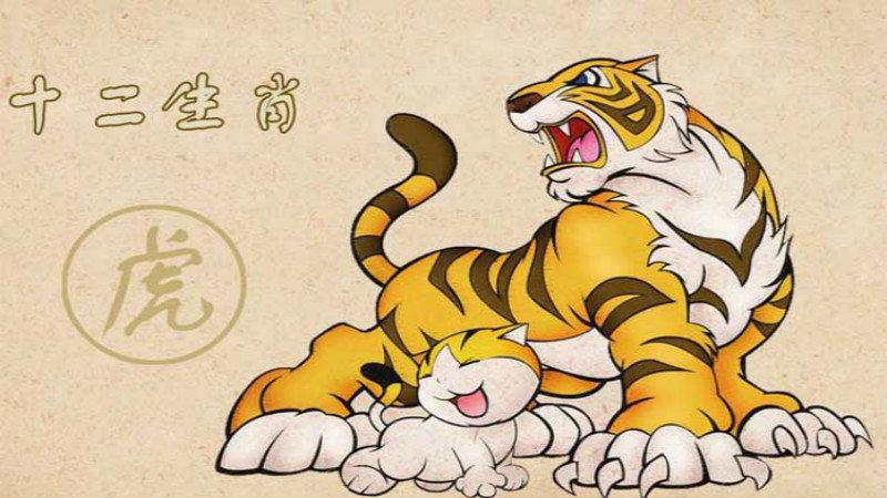 属虎与属虎的婚配如何，详细介绍