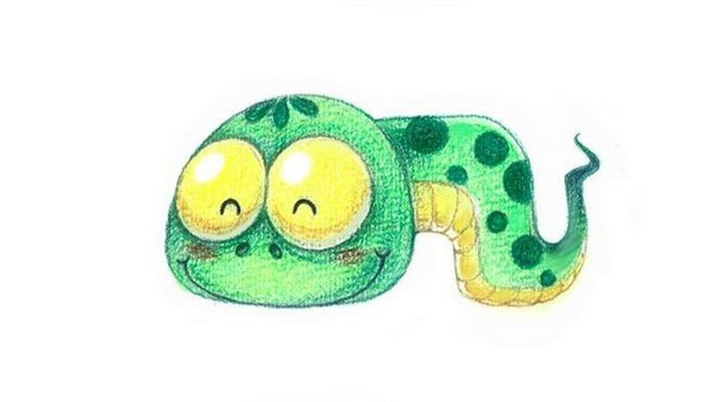 属蛇的今年运程，详细介绍