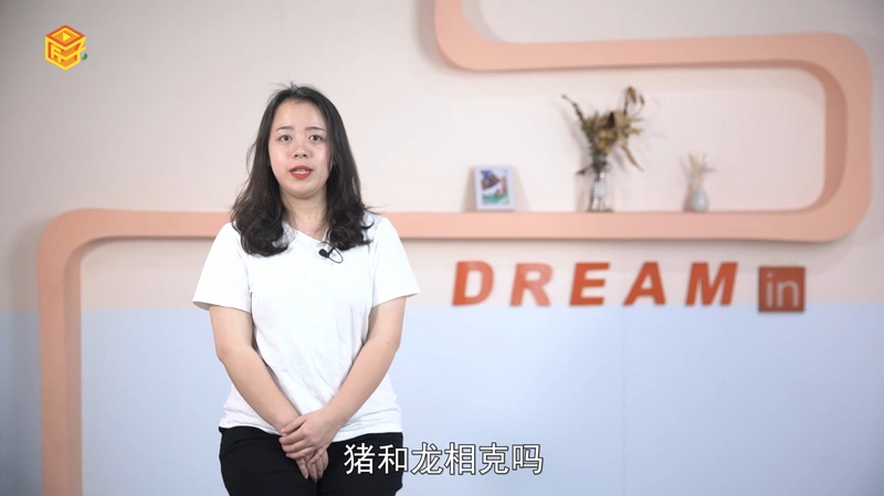 猪和龙相克吗，详细介绍
