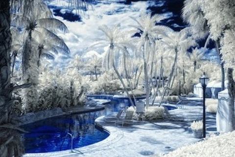 做梦梦见雪有足迹或融化