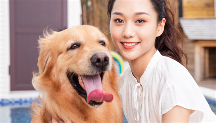 女人做梦梦见好多狗围着我