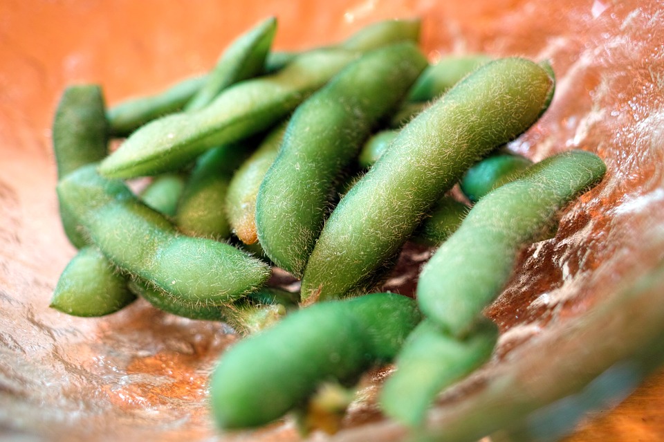 做梦梦见饱满的青毛豆什么意思