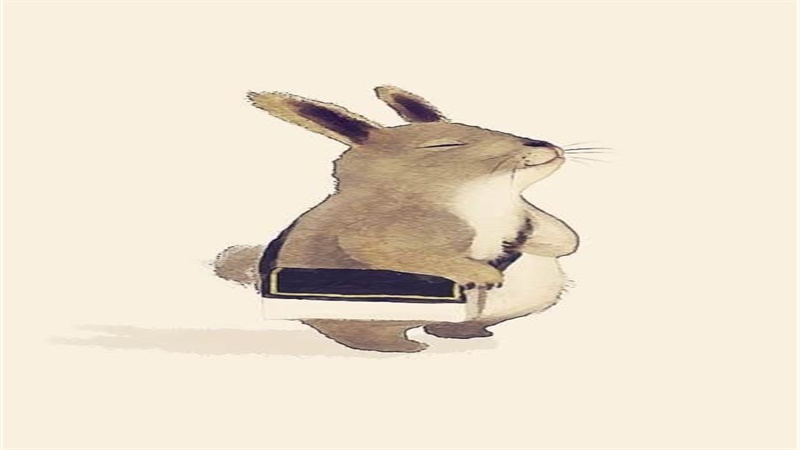 属兔的劫难在那些年，标准答案