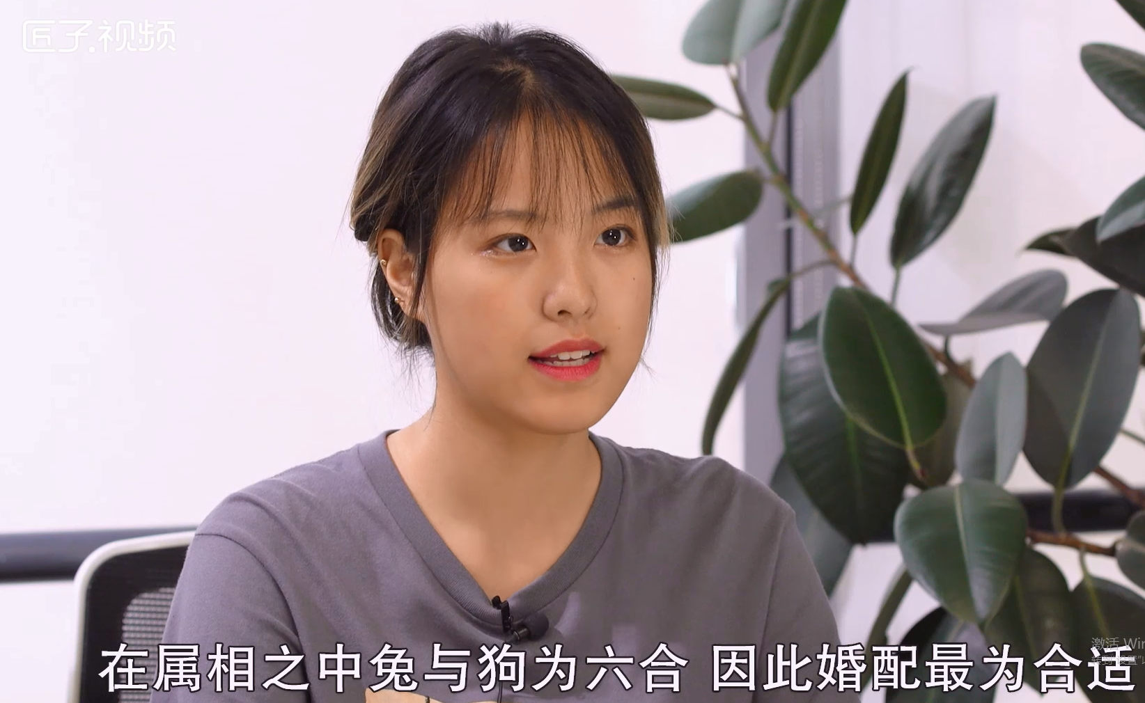属兔和什么属相合适，标准答案