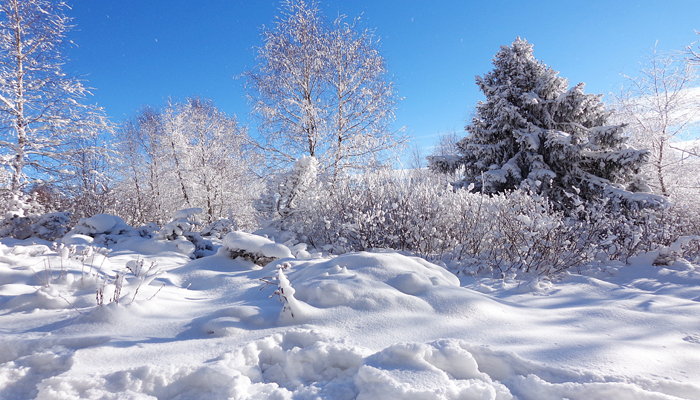 冬天做梦梦见下雪是什么意思