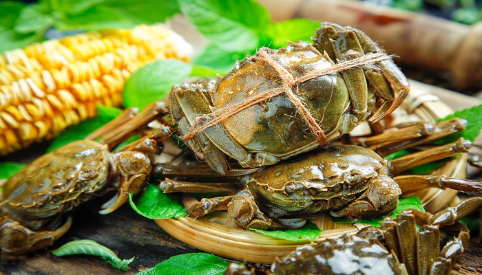做梦梦见很多螃蟹是什么预兆
