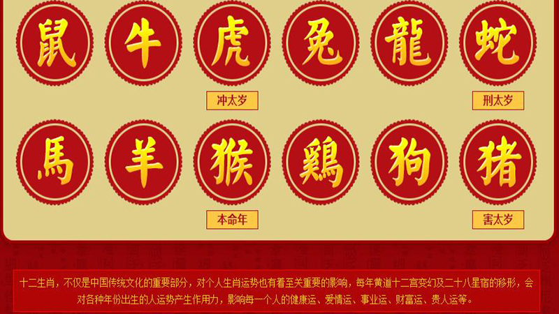 十二生肖代号外号，详细介绍