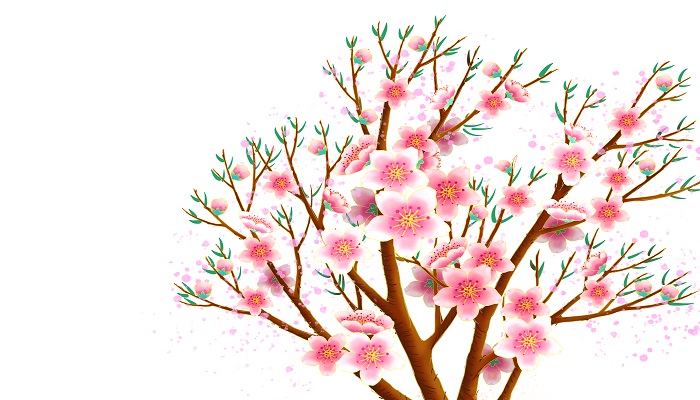做梦梦见桃木是什么意思 做梦梦见桃木有什么预兆