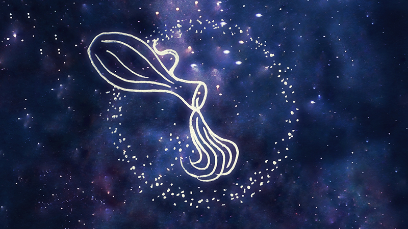 能毁掉狮子座的星座，详细介绍
