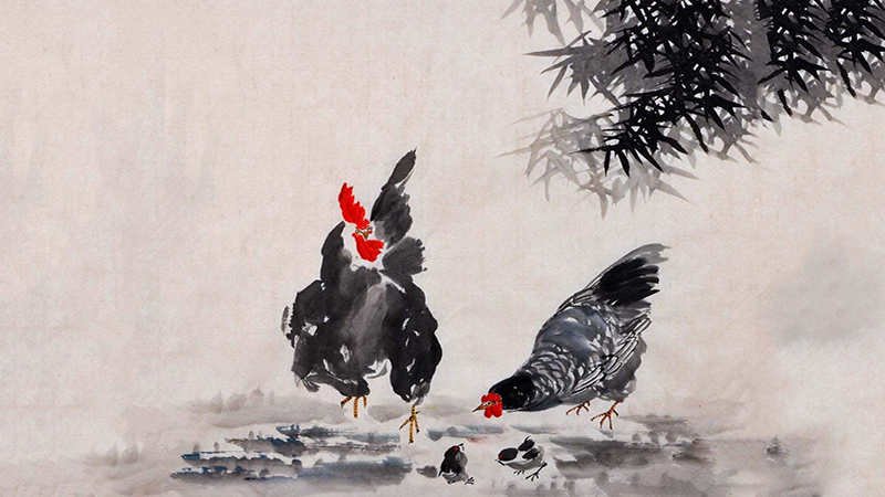 属鸡的今年运程，详细解释