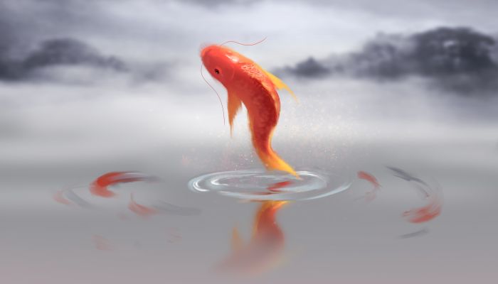 做梦梦见在河里抓鱼是什么意思 做梦梦见在河里抓鱼有什么预兆