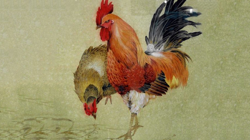 鸡和鼠合不合，最多人赞同的观点