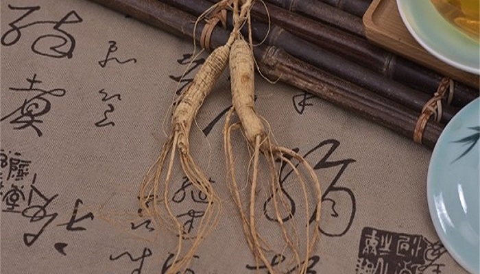 做梦梦见人参