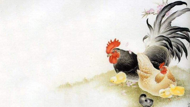鸡马属相合吗，最佳答案