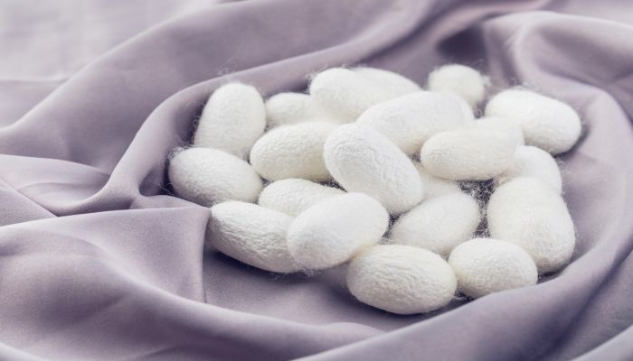 女人做梦梦见白蚕是什么意思 女人做梦梦见白蚕有什么预兆