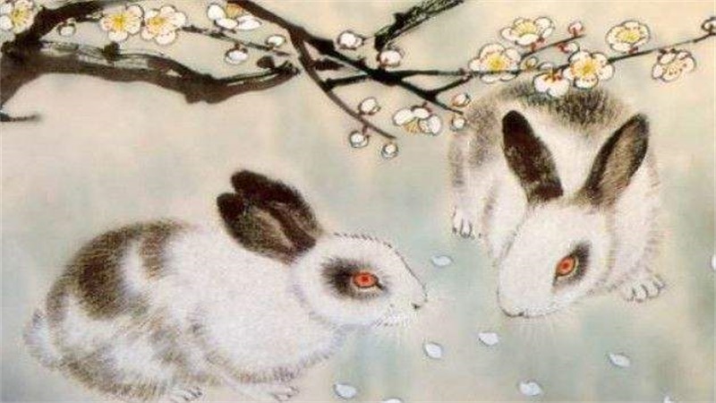 十月的兔子命运如何，最多人赞同的观点