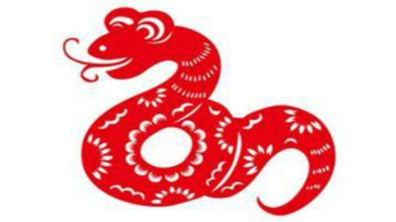 生肖属蛇出生年份，详细解释