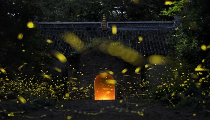 做梦梦见死去的亲人说没钱了是什么意思 做梦梦见死去的亲人说没钱了有什么预兆