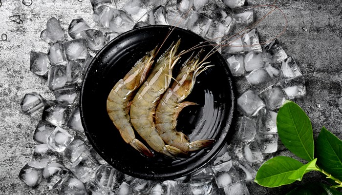 做梦梦见自己用手抓到活虾