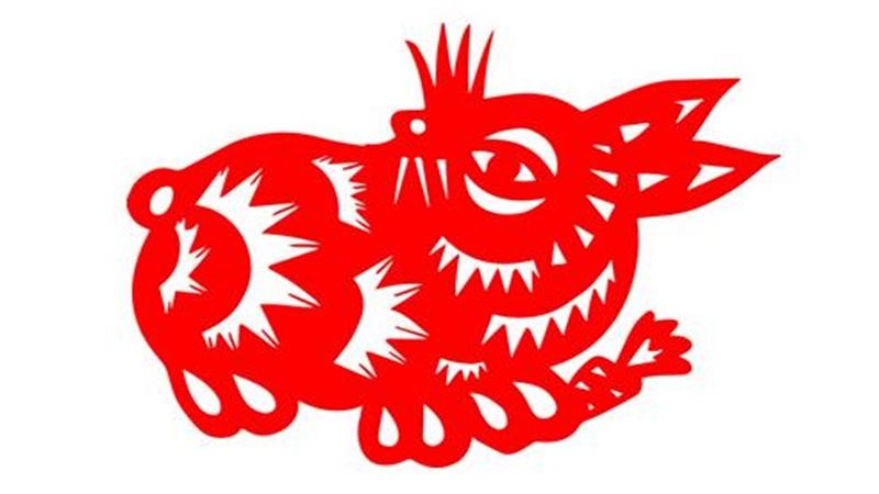 十月的兔子命运如何，最多人赞同的观点