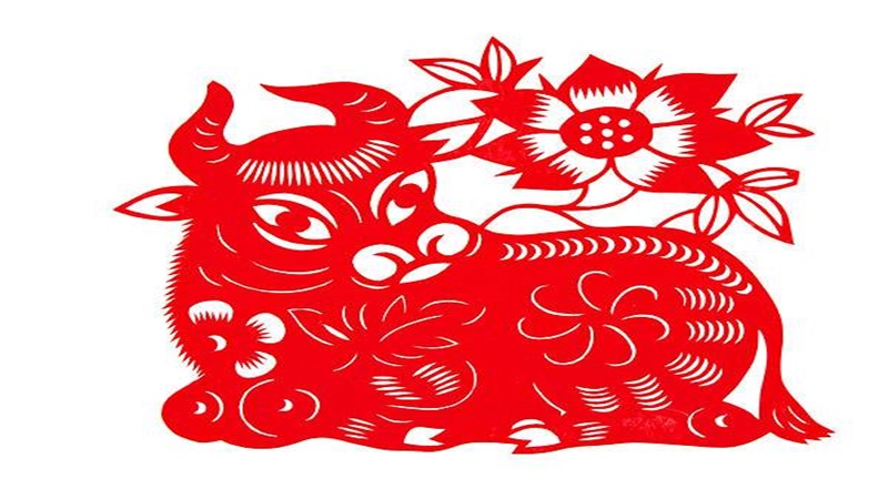 狗与牛属相婚配怎样，详细介绍