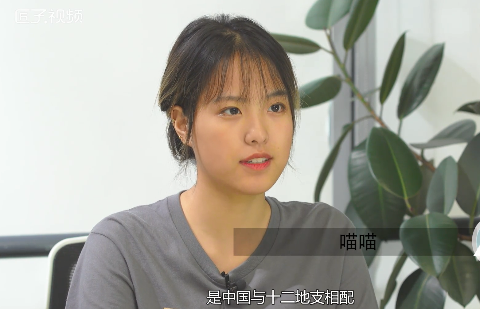 十二生肖中哪些是吉肖，详细解释