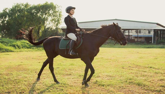 女人做梦梦见骑马慢慢走是什么意思 女人做梦梦见骑马慢慢走有什么预兆