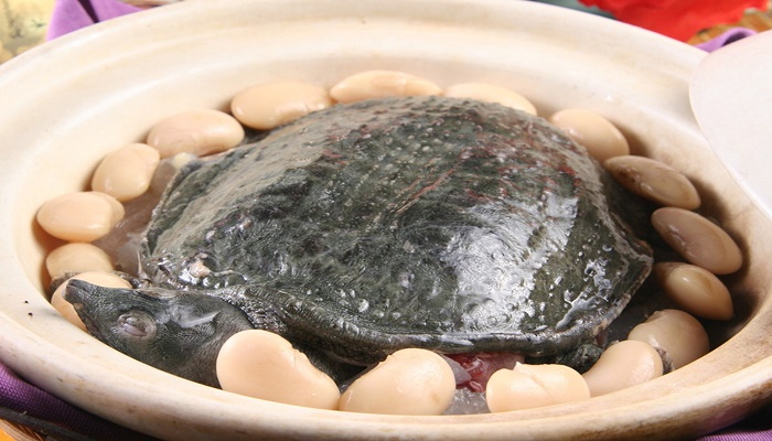 做梦梦见很多甲鱼是什么意思