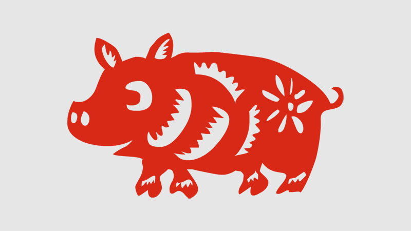 属猪的人今年多少岁，最佳答案