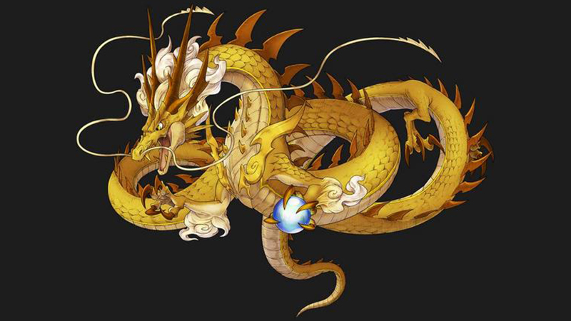 龙和猪合不合，详细介绍