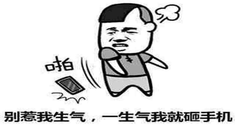 属狗与什么属相不合，详细介绍